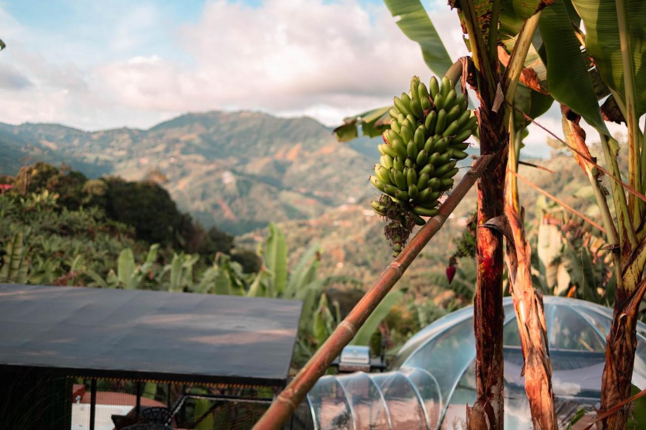 Villa Chami Glamping à Manizales Extérieur photo