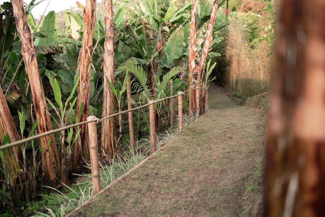 Villa Chami Glamping à Manizales Extérieur photo