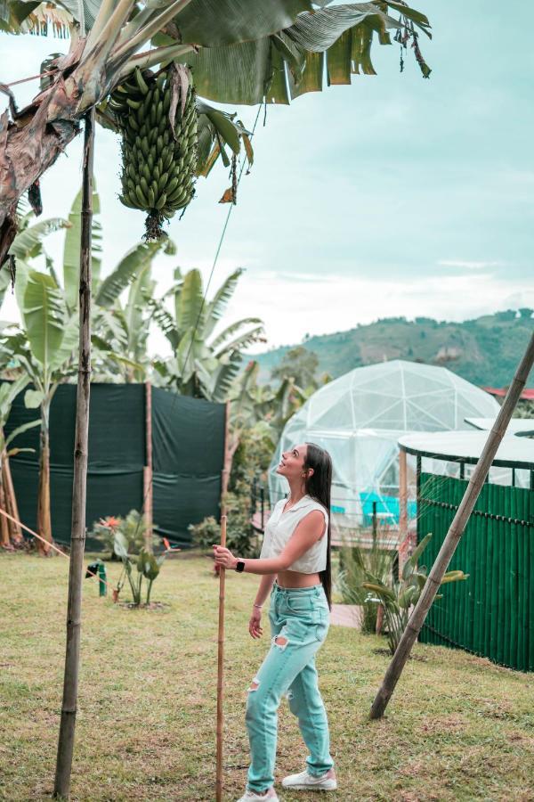Villa Chami Glamping à Manizales Extérieur photo