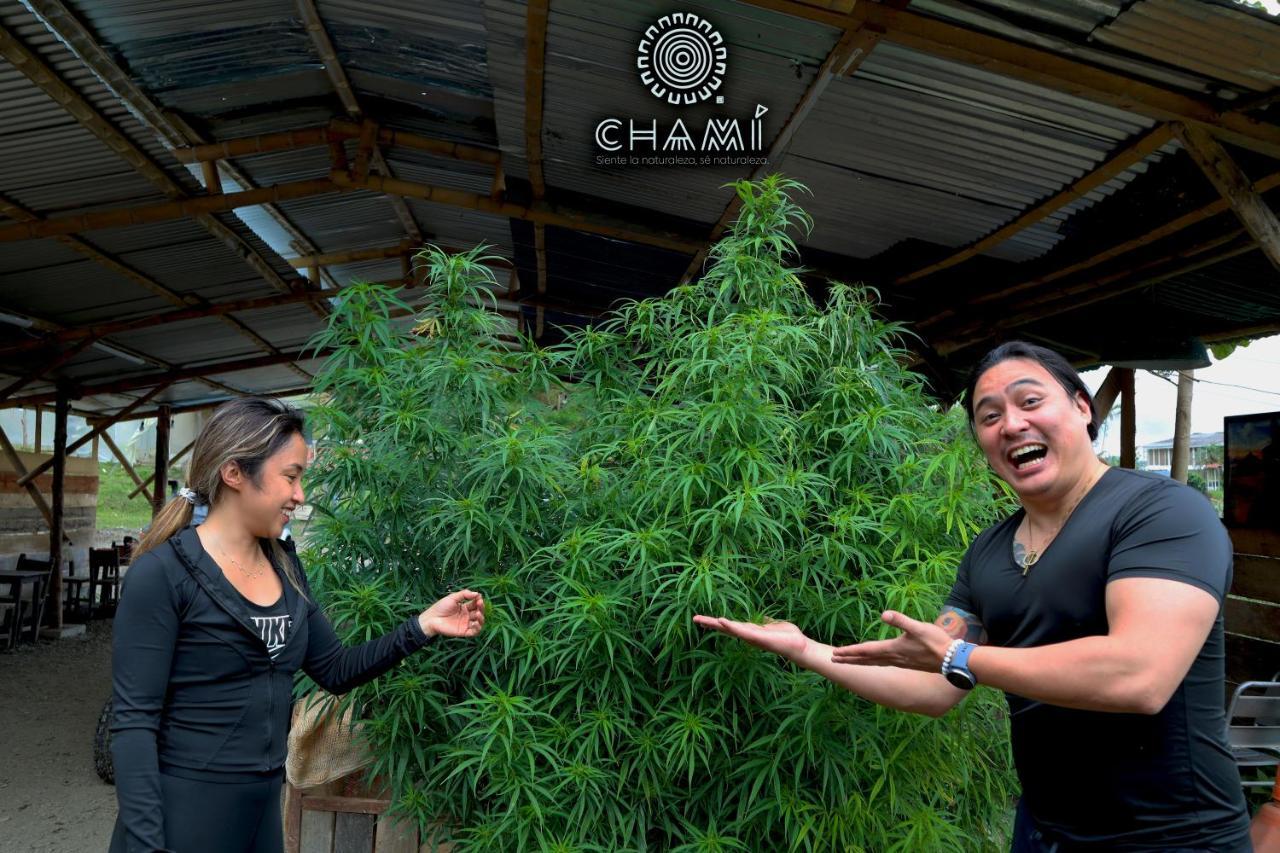 Villa Chami Glamping à Manizales Extérieur photo