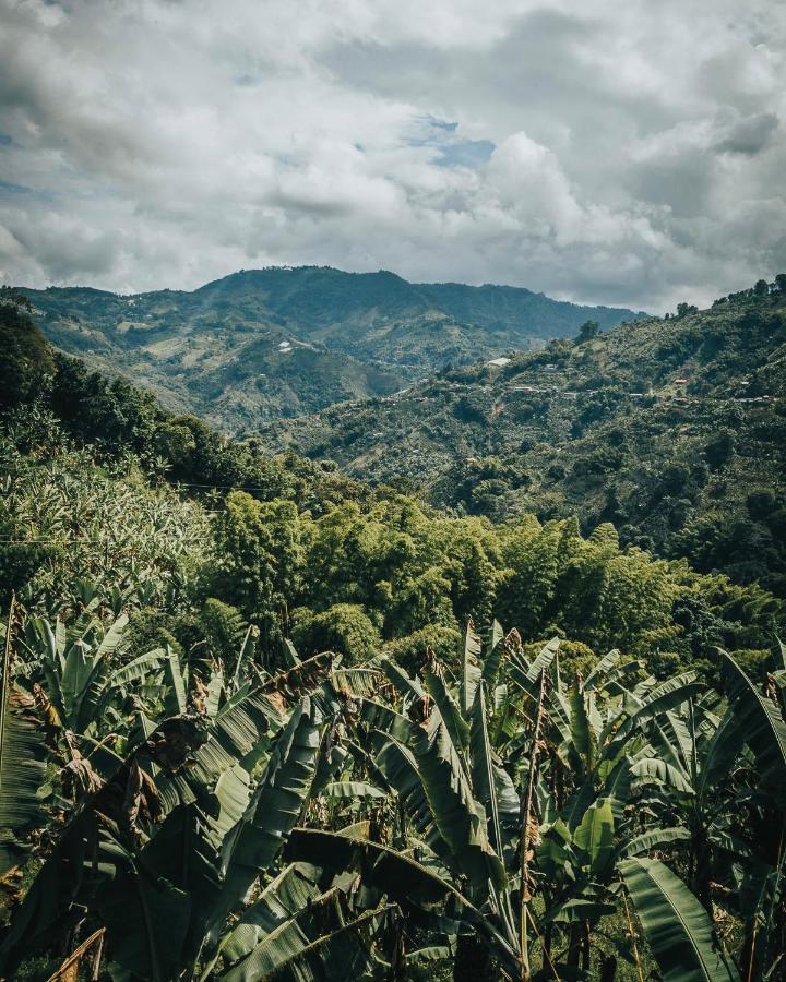 Villa Chami Glamping à Manizales Extérieur photo
