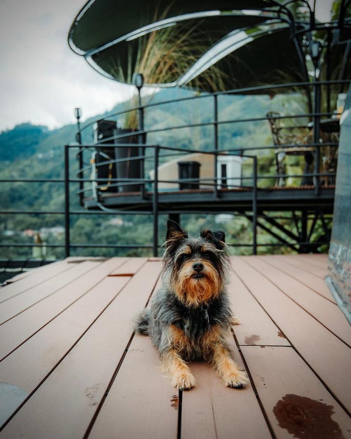 Villa Chami Glamping à Manizales Extérieur photo