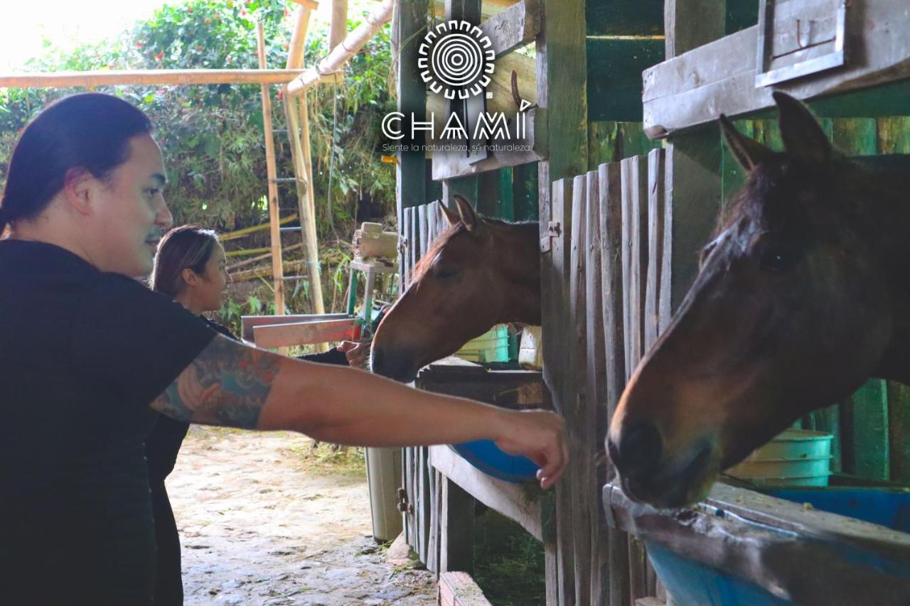 Villa Chami Glamping à Manizales Extérieur photo